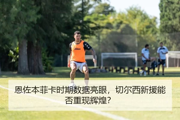 恩佐本菲卡时期数据亮眼，切尔西新援能否重现辉煌？