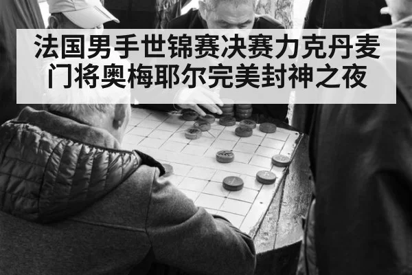 法国男手世锦赛决赛力克丹麦 门将奥梅耶尔完美封神之夜