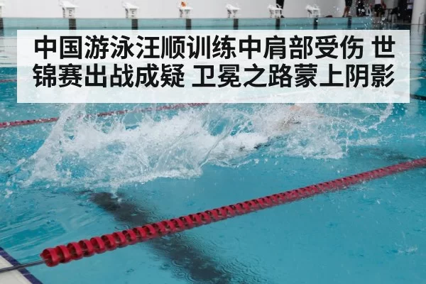 中国游泳汪顺训练中肩部受伤 世锦赛出战成疑 卫冕之路蒙上阴影